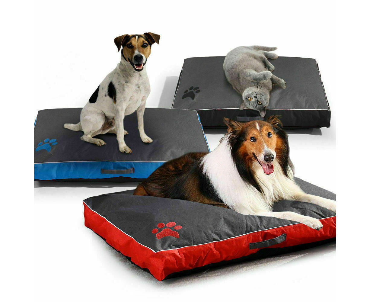 pet bedwwetting mattress protector