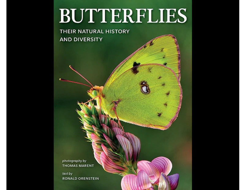 Butterflies : Their Natural History and Diversity