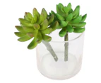 Maine & Crawford Buddha Hand Artificial Plant 4-Pack - Randomly Selected