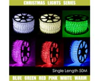 Single Length 50m LED Rope Light with 8 Functions Controller - Cool White