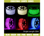 Single Length 50m LED Rope Light with 8 Functions Controller - Warm White