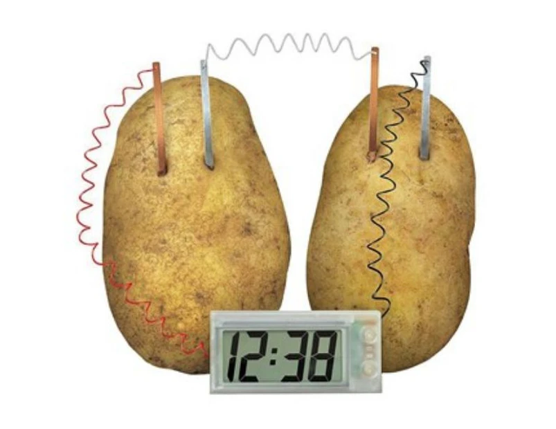Educational Potato Powered Clock Kit