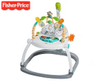 Fisher-Price Colourful Carnival SpaceSaver Jumperoo / Bouncer / Activity Centre