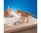 STEM Discovery Dinosaur Fossil Dig 2 Pack Excavation Kit
