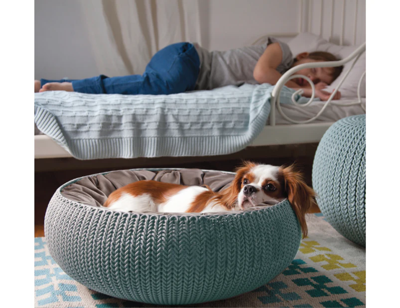 Curver Pet Bed Cozy