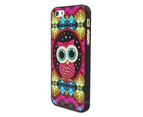 Colourful Owl Hard Back Case for Apple iPhone 5 5S or SE 1st Gen