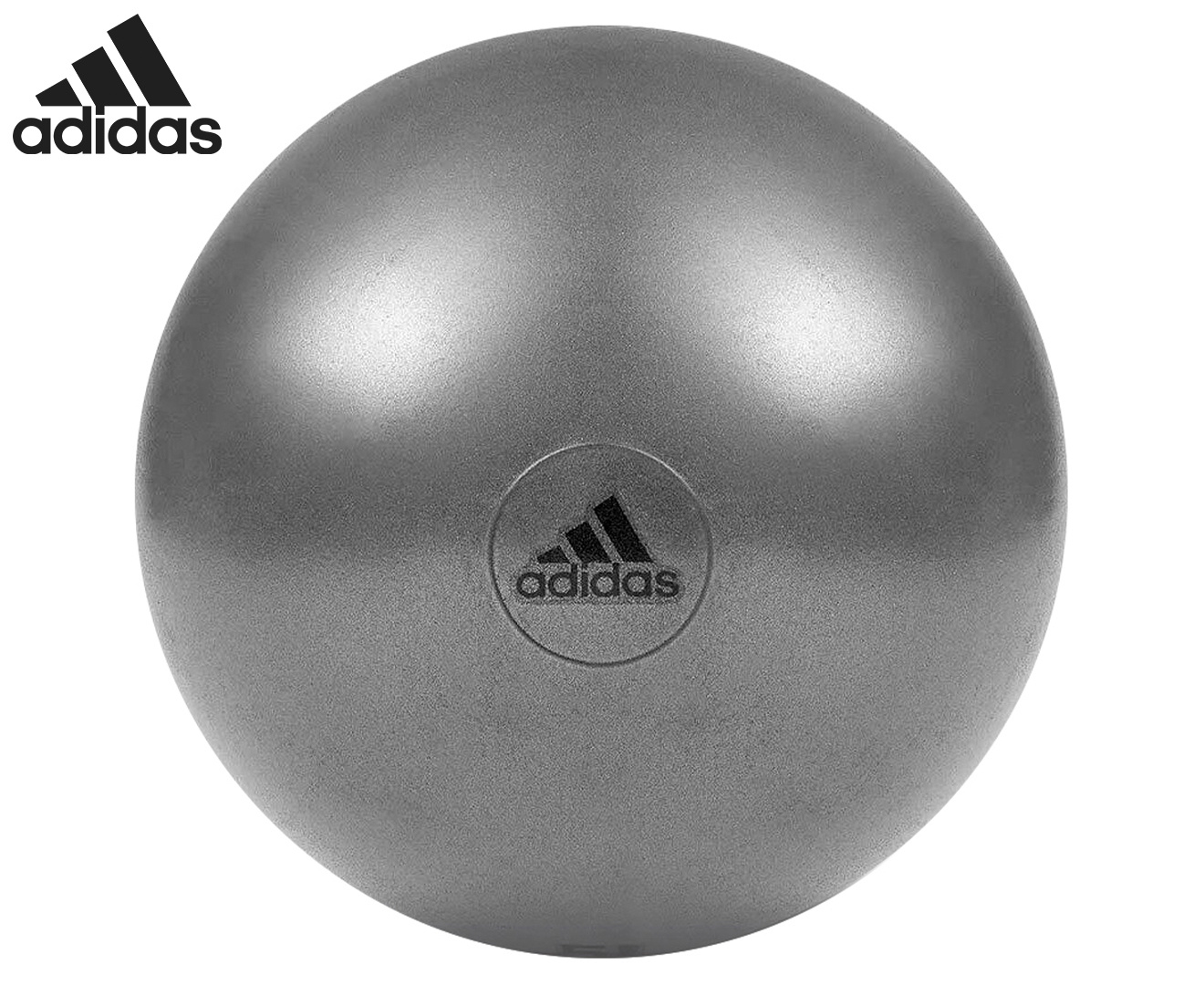 Pure2Improve Exerciseball 