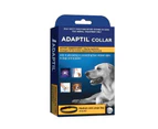 Ceva Adaptil Collar Socialisation Training Medium and Large Dog 70cm (WCAC70)