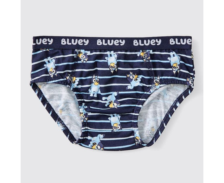 bluey underwear kmart