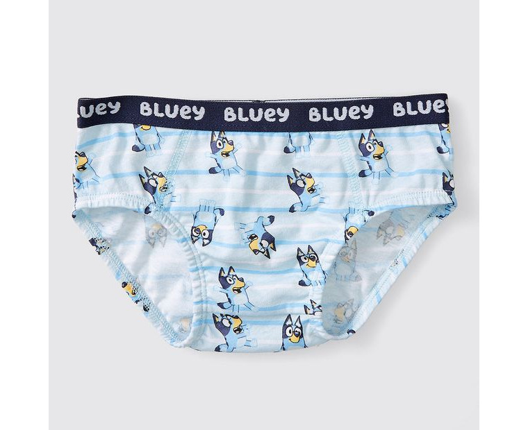 bluey underwear kmart