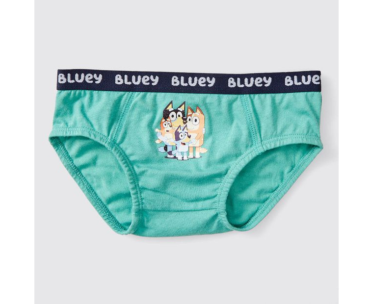 bluey underwear kmart