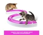 Kitten Pet Cat Track Ball Toy Set 2