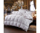 Double Size 700GSM Goose Down Feather Quilt Cover Duvet Winter Doona