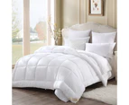 Double Size 700GSM Goose Down Feather Quilt Cover Duvet Winter Doona