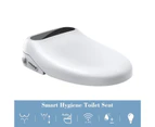508x381x125mm Intelligent Electric Smart Toilet Bidet Seat Cover Energy-saving Instant Heating