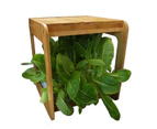 Wooden Kitchen Smart Garden With LED Grow Light - Stylish - Easy To USE