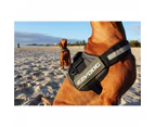 Ezydog 2X-Large Convert Dog Harness (86cm to 116cm) Charcoal Colour Ezy Dog