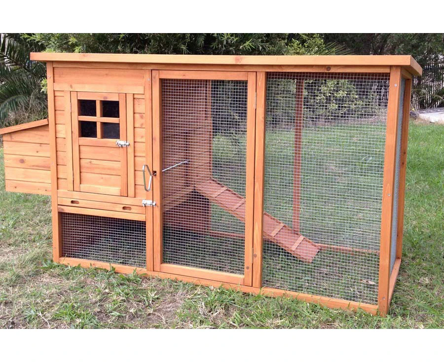 Premium Chicken Coop