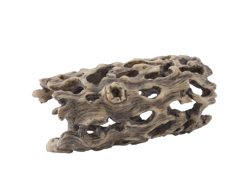 Small Cholla Cactus Skeleton Reptile Decoration by Exo Terra