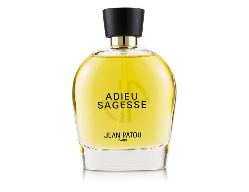 Adieu Sagesse Jean Patou By Jean Patou Eau De Parfum Spray 3.3 Oz