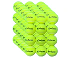 72 PD037 Meister Pressureless Tennis Balls