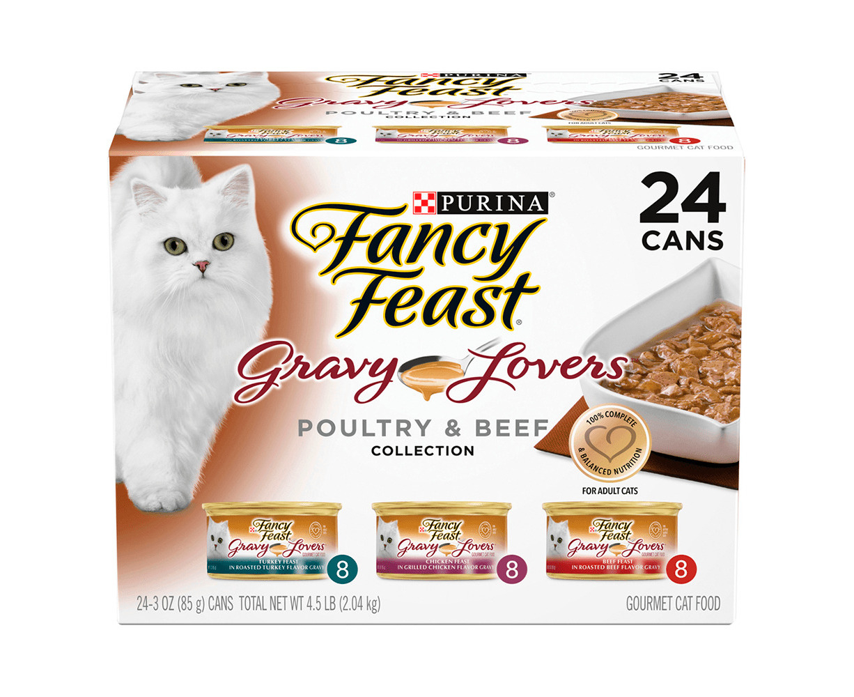 target fancy feast dry cat food