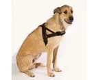 Ezydog X-Large Black Quick Fit Dog Harness (84cm to 107cm) Ezy Dog