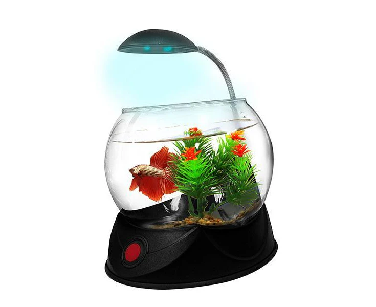 Betta Black 1.8L Glass Fish Bowl with Light for Siamese Fighting Fish (Aquatopia)