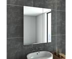 ELEGANT Mirror Cabinet,Bathroom Cupboard,Medicine Storage Polished Stainless Steel,Wall-Mounted Mirrors,600x720mm 1