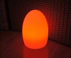 Lexi Lighting LED Egg Lamp - White 2