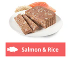 6 x Optimum Adult Wet Dog Food Salmon And Rice 100g