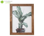 Florabelle Living 43x55cm Banana Palm Framed Print - Geen