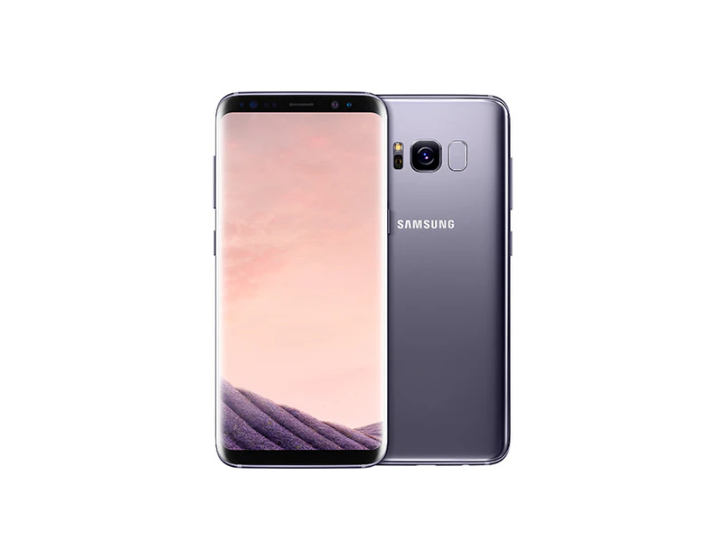 Samsung Galaxy S8 Plus 64GB Orchid Gray (G955F)