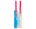 Gray-Nicolls ICC T20 World Cup Mini Cricket Bat - Blue/Pink