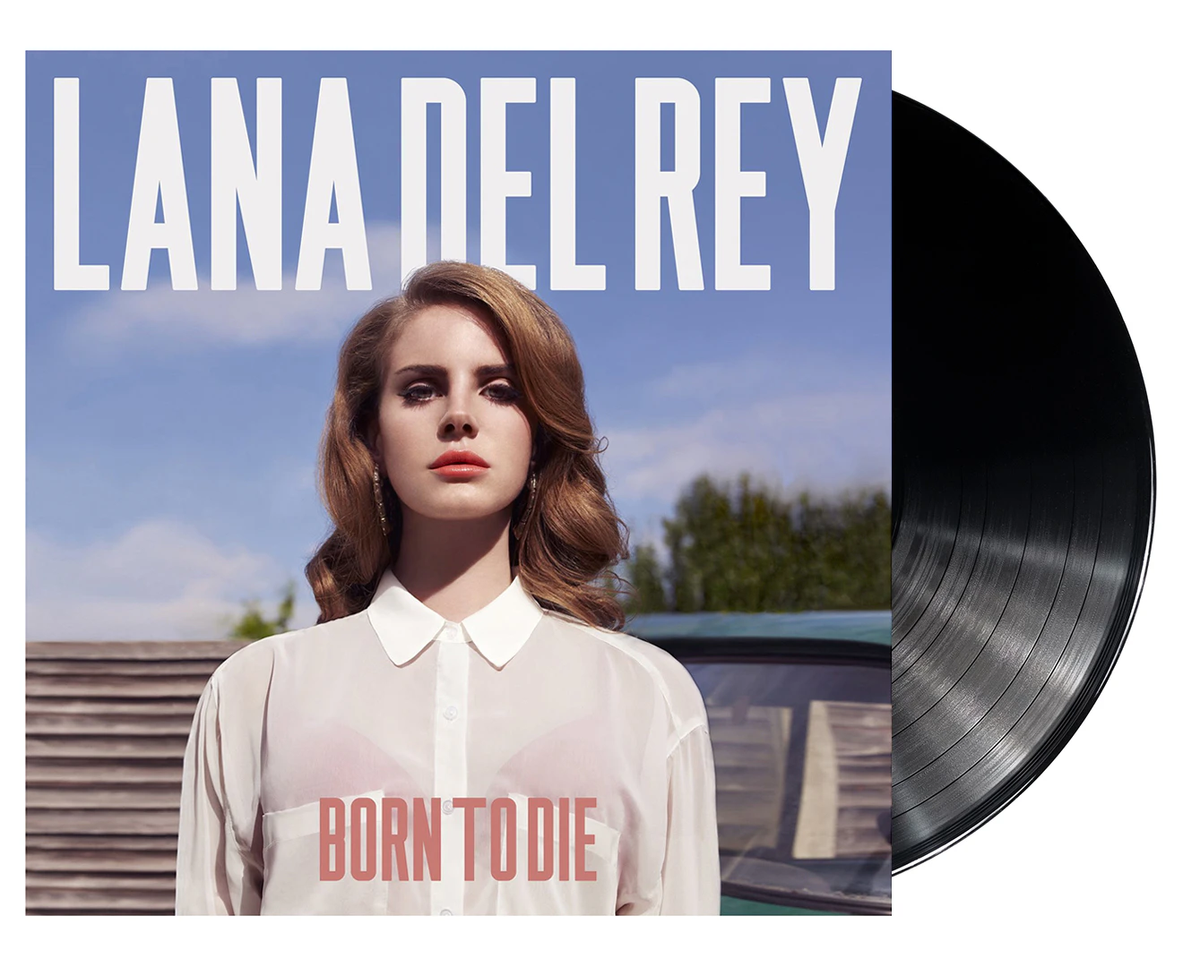 Lana Del Rey Born To Die heavyweight VINYL 2 LP in gatefold sleeve