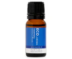 ECO. Aroma Rosemary Essential Oil 10mL