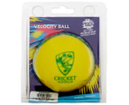 Gray-Nicolls ICC T20 World Cup Australia Velocity Cricket Ball