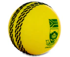 Gray-Nicolls ICC T20 World Cup South Africa Velocity Cricket Ball