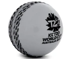Gray-Nicolls ICC T20 World Cup New Zealand Black Caps Velocity Cricket Ball