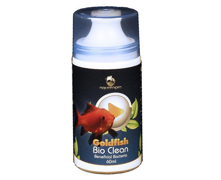 Colombo goldfish outlet care