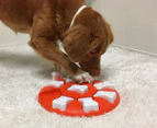 Nina Ottosson Dog Smart Level 1 Treat Game - Orange/White