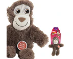 Paws & Claws 29cm Ropey Plush Monkey Toy