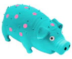 Paws & Claws 21cm Oinky Pig Toy - Randomly Selected