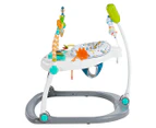 Fisher-Price Colourful Carnival SpaceSaver Jumperoo / Bouncer / Activity Centre