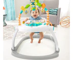 Fisher-Price Colourful Carnival SpaceSaver Jumperoo / Bouncer / Activity Centre