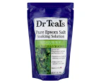 Dr Teal's Pure Epsom Salt Eucalyptus & Spearmint 450g