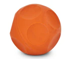 Gray-Nicolls Reflex Ball