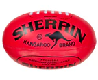 Sherrin Over The Door System with Soft Football