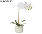 Rogue 25x10x45cm Butterfly Orchid In Smooth Pot - White/Cream