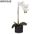 Rogue 25x12x48cm Butterfly Orchid In Ceramic Pot - White/Black